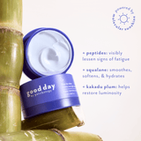 An open jar of good day by Patchology facial cream showing the white cream inside, styled with green bamboo stalks on a light background with product benefits text.